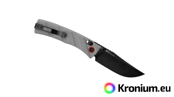 Ruike P856