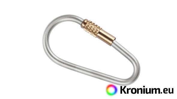 Titanium carabiner SilverAnt