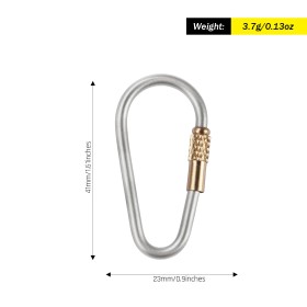Titanium carabiner SilverAnt